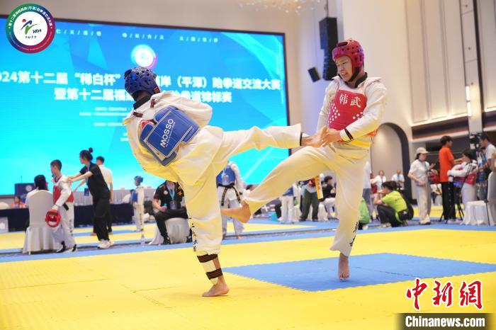 重庆时时彩:两岸679名选手平潭同台比拼跆拳道